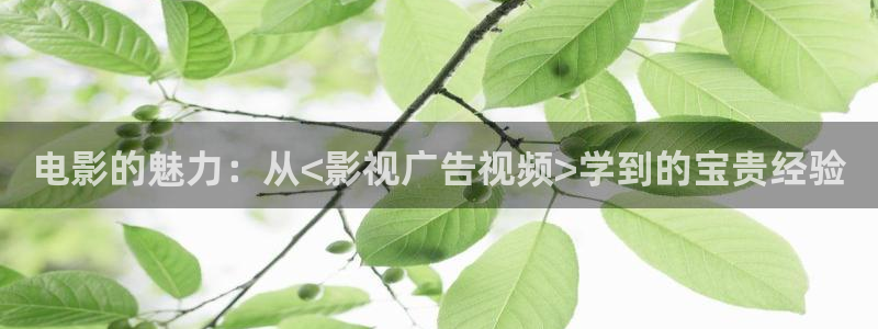 孙悟空出生视频