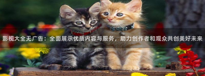 悟空在线观看免费播放