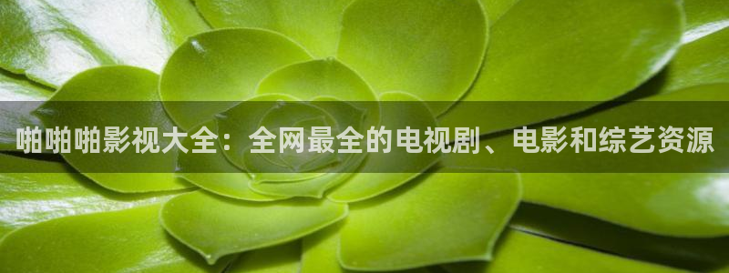 悟空电影高清在线观看