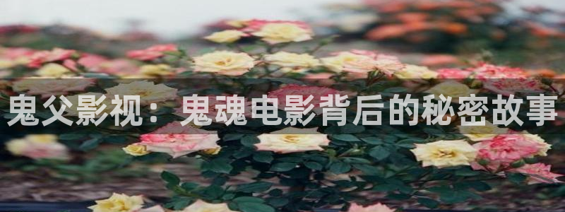 悟空视频在线观看免费