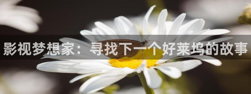 悟空影院手机在线观看