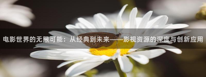 悟空视频短剧