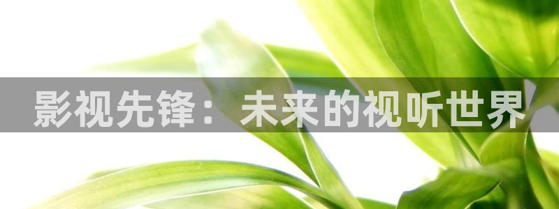 悟空表演视频