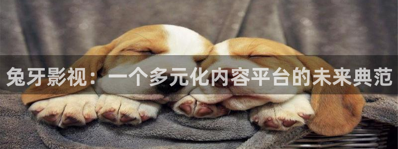 悟空骂人搞笑视频