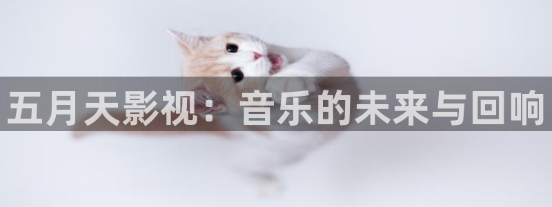 悟空视频影视免费